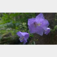WP 20150721 16 02 54 Pro 1