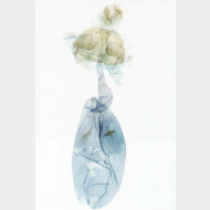 01 Depressaria olerella w