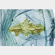Depressaria olerella w signum
