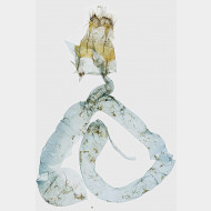 02 Agrotis simplonia w