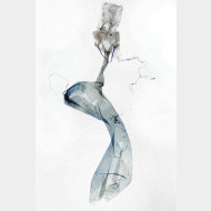 Deltote deceptoria w