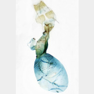 Herminia tarsicrinalis w