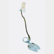 01 Caloptilia roscipennella w