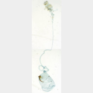 Gracillaria syringella w