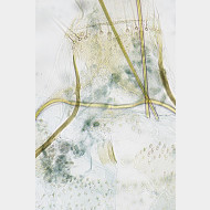 04 Argyresthia thuiella w ostium