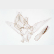 Gymnoscelis rufifasciata m