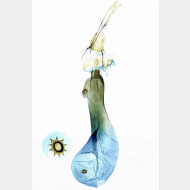 04 Paradarisa consonaria w