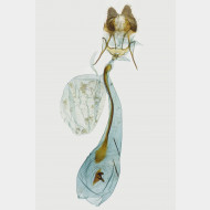 00 Clepsis rurinana w