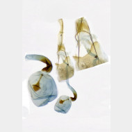 Ypsolopha mucronella w2