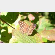 WP 20140928 11 40 56 Pro