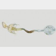 thumbs v5b10f6b080