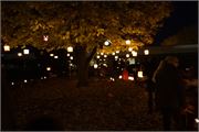 _DSC1795