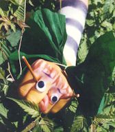hapuppe2.jpg (10995 Byte)