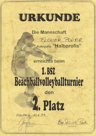 volley_urkunde_flower.jpg (14808 Byte)