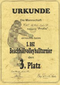 volley_urkunde_profi.jpg (14789 Byte)