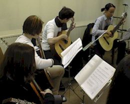 gitarre_stift2_99_00.jpg (12633 Byte)