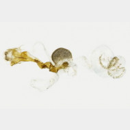 thumbs vc2b37a5007