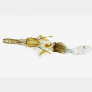 thumbs vcdb9b283f2